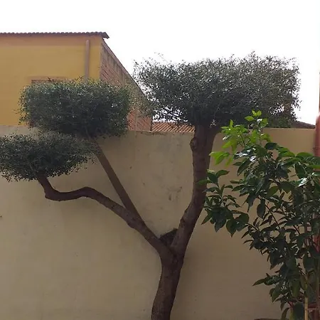 Il Vecchio Ginepro Oda ve Kahvaltı 3*