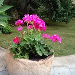 Oda ve Kahvaltı Il Vecchio Ginepro 3*
