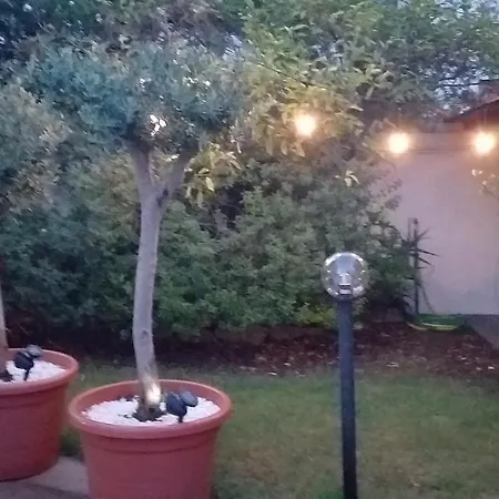 Il Vecchio Ginepro 3*