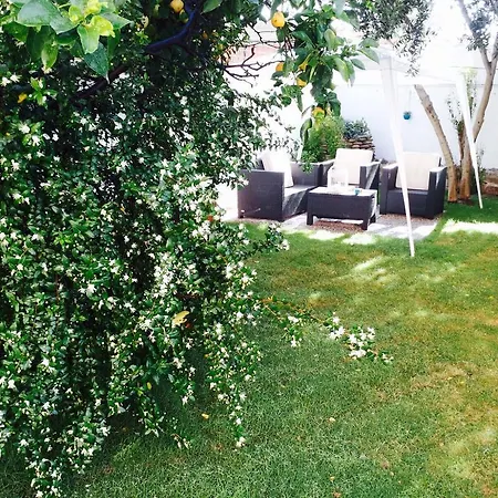 Il Vecchio Ginepro Capoterra