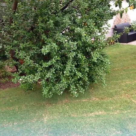 Bed & Breakfast Il Vecchio Ginepro