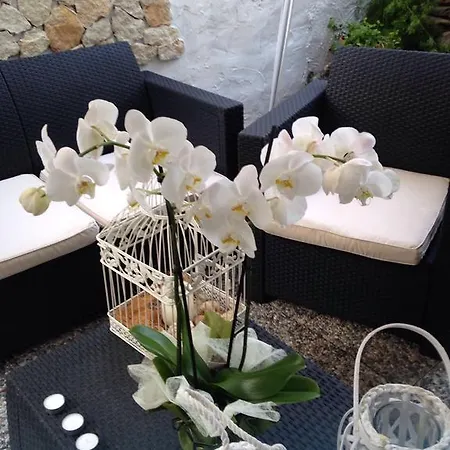 Bed & Breakfast Il Vecchio Ginepro